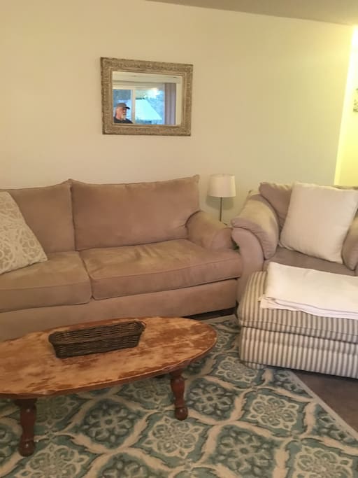 Living room area