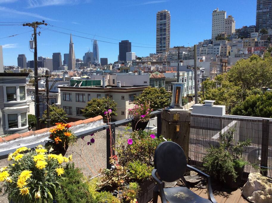 Gorgeous view roof deck with lush plantings.
