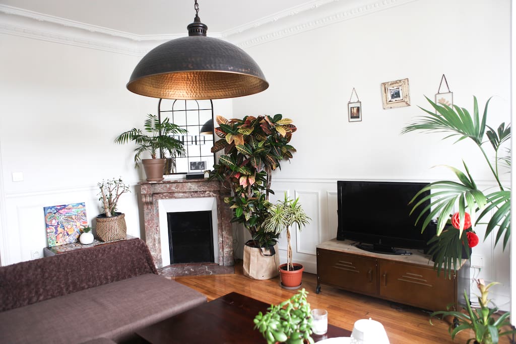 Salon - Living-room