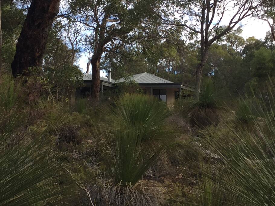 Bushland setting