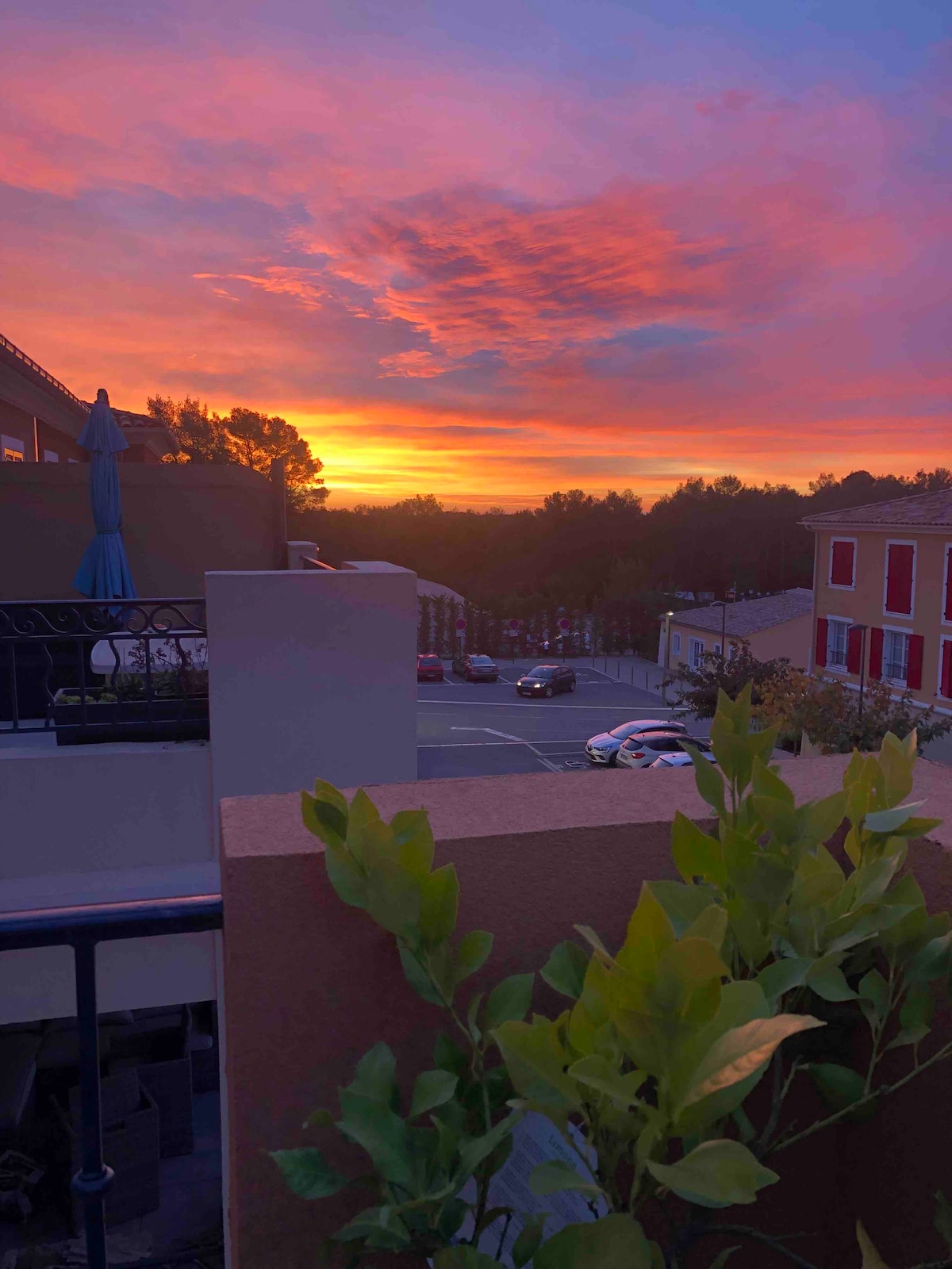 A vibrant sunset is captured over the horizon, with hues of orange, pink, and purple filling the sky. The scene includes a glimpse of nearby buildings and trees, with green foliage framing the foreground.
