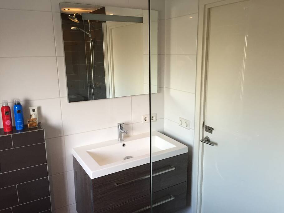 Badkamer met wastafel, douche en toilet