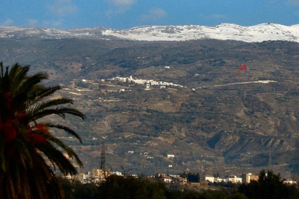 Red arrow is location of the house