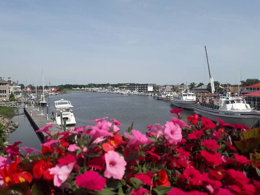 Garden Level Beach Condo, Newly Furnished Apartments for Rent in