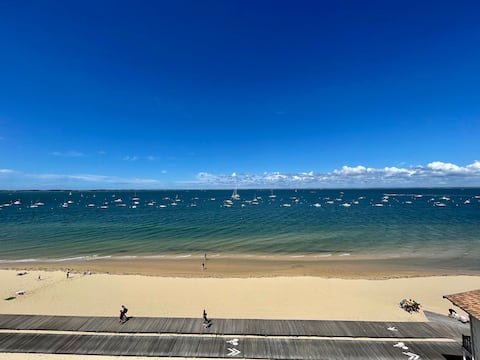 Stunning studio view of the Bassin d 'Arcachon