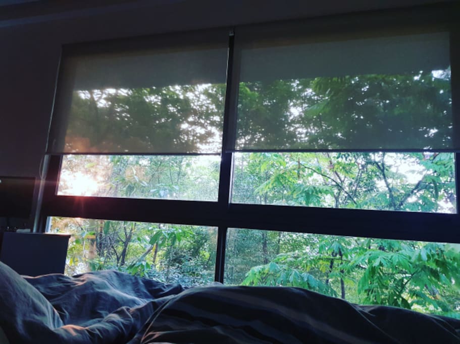 Sunrise in your room...