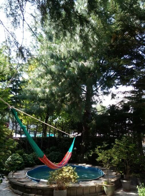 hammock in garden over swimming-pool