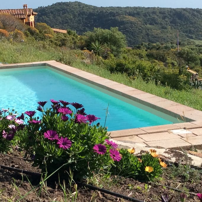 La piscina