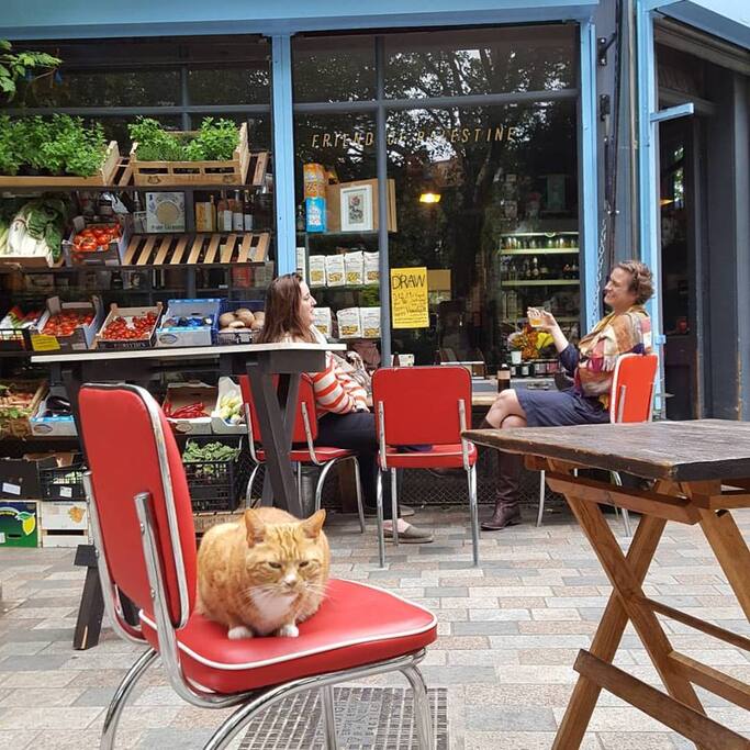 Cafe in the Square