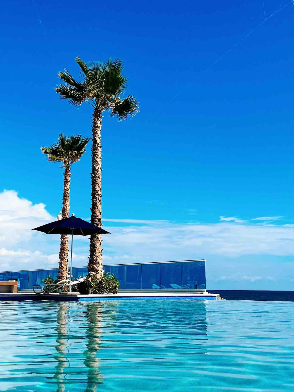 An infinity pool reflects the clear blue sky, bordered by two tall palm trees providing shade. A single umbrella rests beside a lounge chair on the pool deck, offering a serene space for relaxation. The pool's edge seamlessly connects to the ocean view beyond.