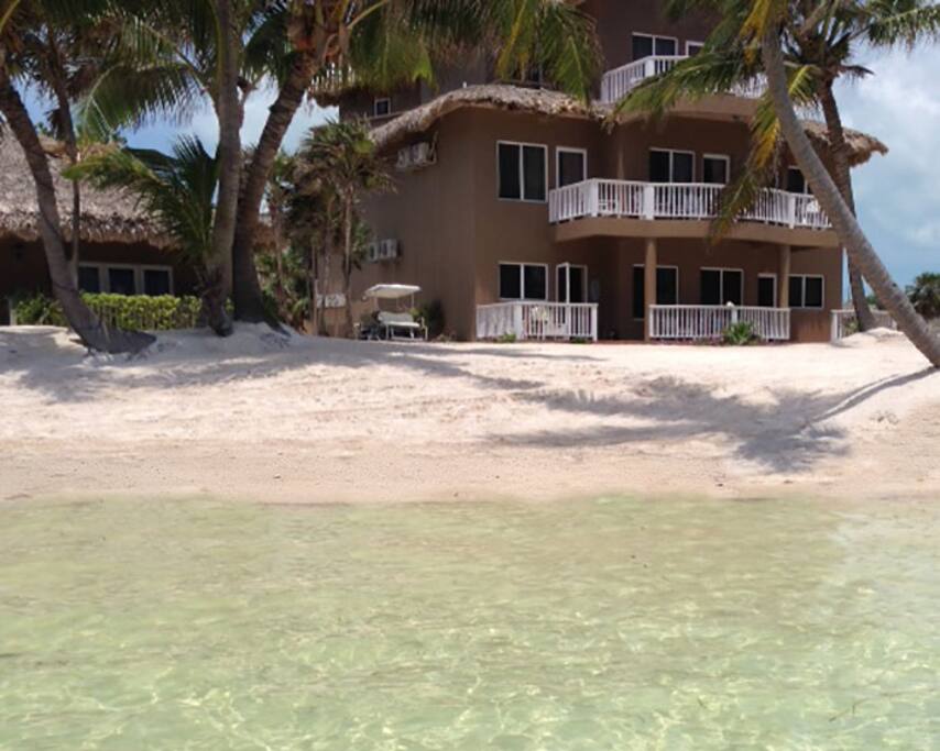The beach.