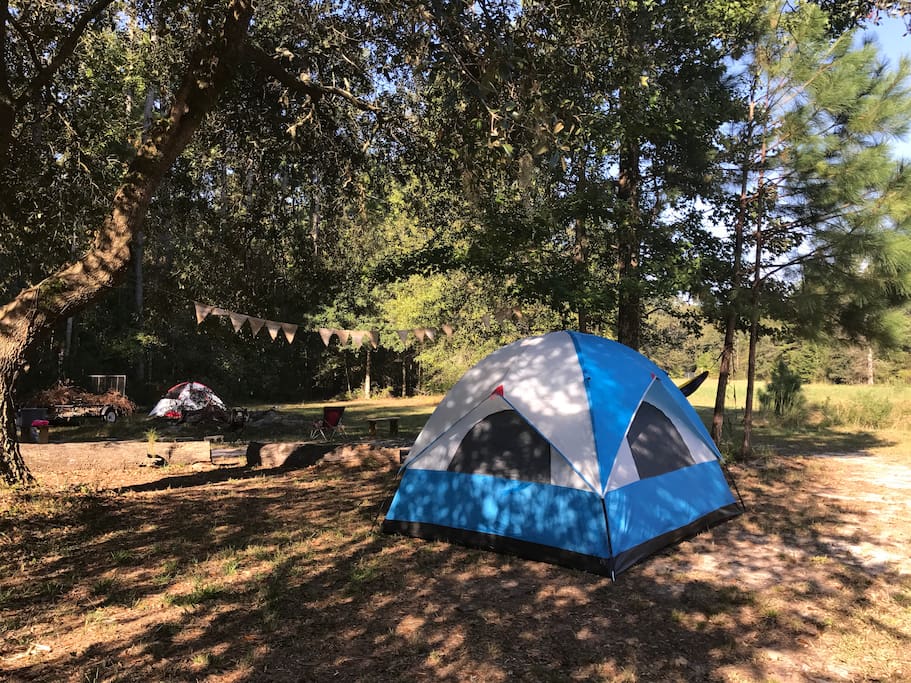 Tents for RENT & SET UP!