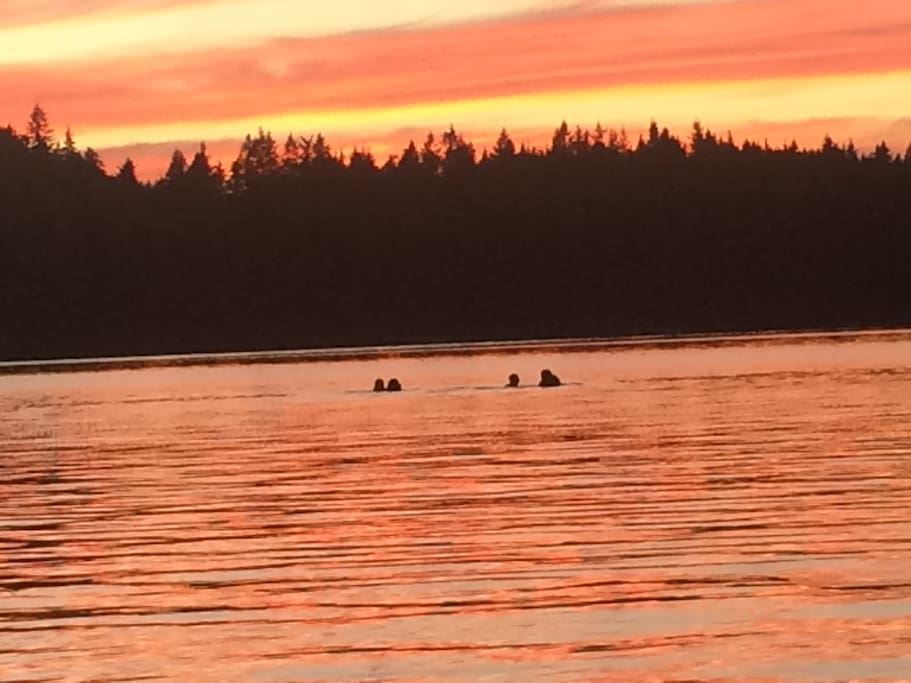 sunset 2