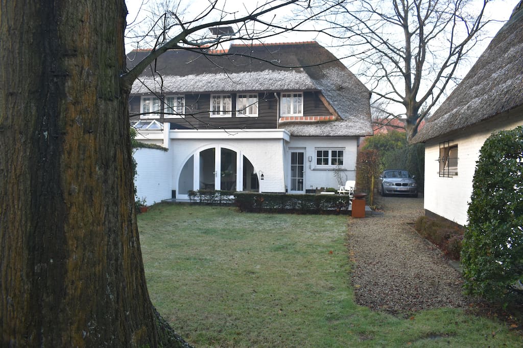 the garden