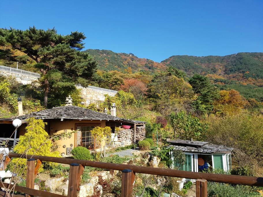 단풍에 물들다.