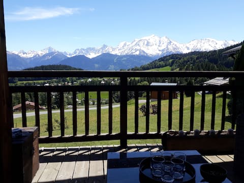 Comfy family chalet with sauna and stunning view