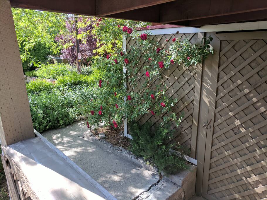 9223d5df 540b 4365 9c39 7226a402e4a0