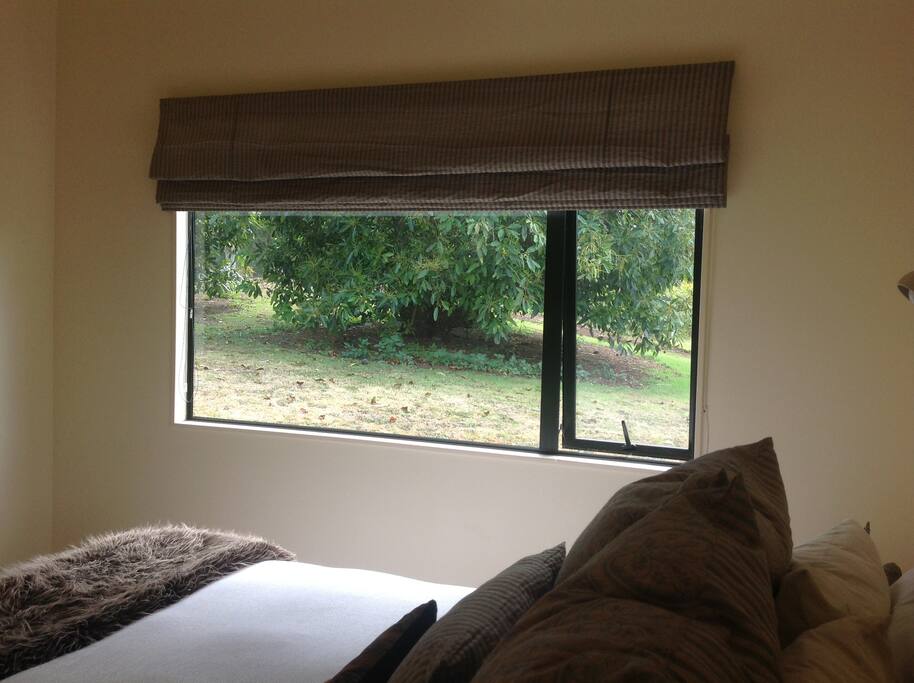 Private view from bedroom