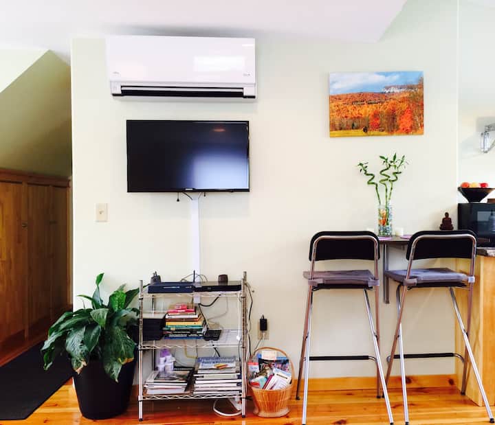 Majestic Studio With Shawangunk Mountain Views - New Paltz, NY