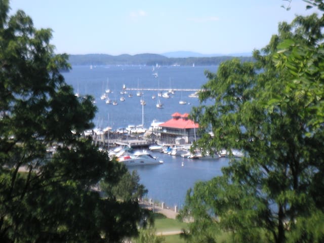 Private room and bath in downtown