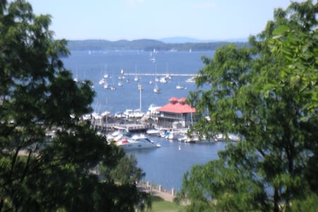 Private room and bath in downtown