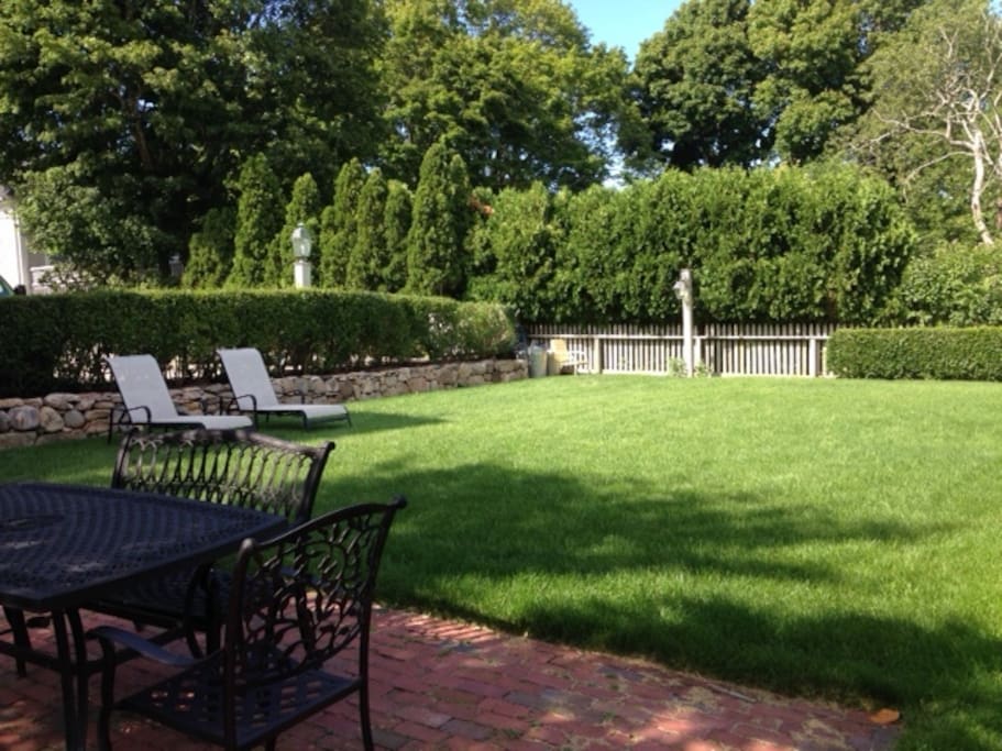 Back Yard