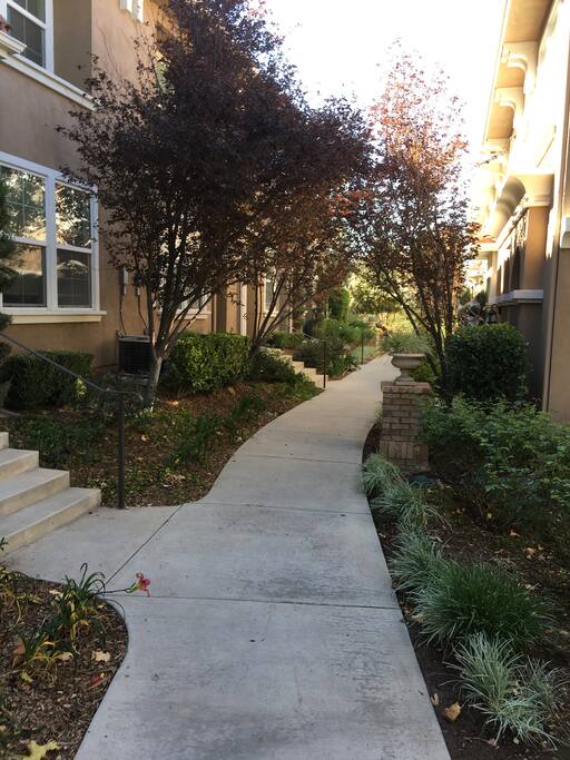 Walkway in front of entrance