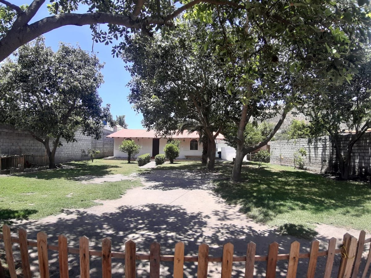 A spacious, grassy yard is surrounded by tall trees, providing ample shade. The area features a simple wooden fence in the foreground, leading to a pathway that connects to a small building with a red roof and windows, framed by well-maintained greenery.