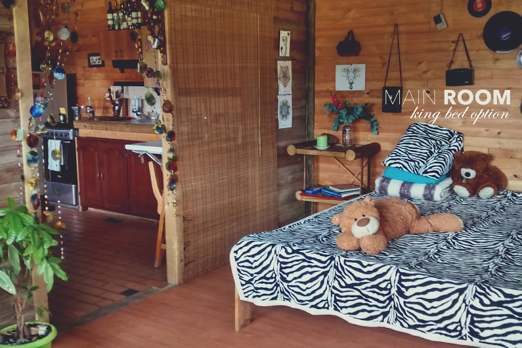 Main Room - king bed option