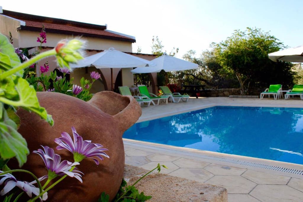 Bungalows,Garden&Pool