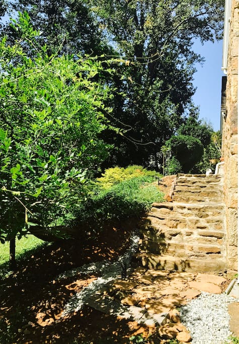 stone steps leading to patio and stairs up to the Dutch Suite