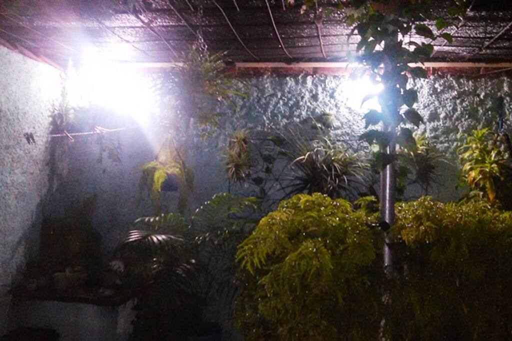 Jardin EDEN