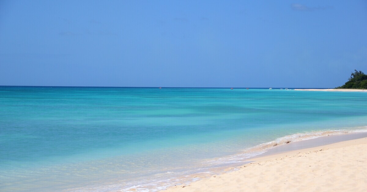 A tranquil beach scene features soft, sandy shores meeting calm, turquoise waters. The clear sky enhances the serene atmosphere, with gentle waves lapping at the coastline. The expanse of the ocean stretches to the horizon, providing a peaceful and inviting view.