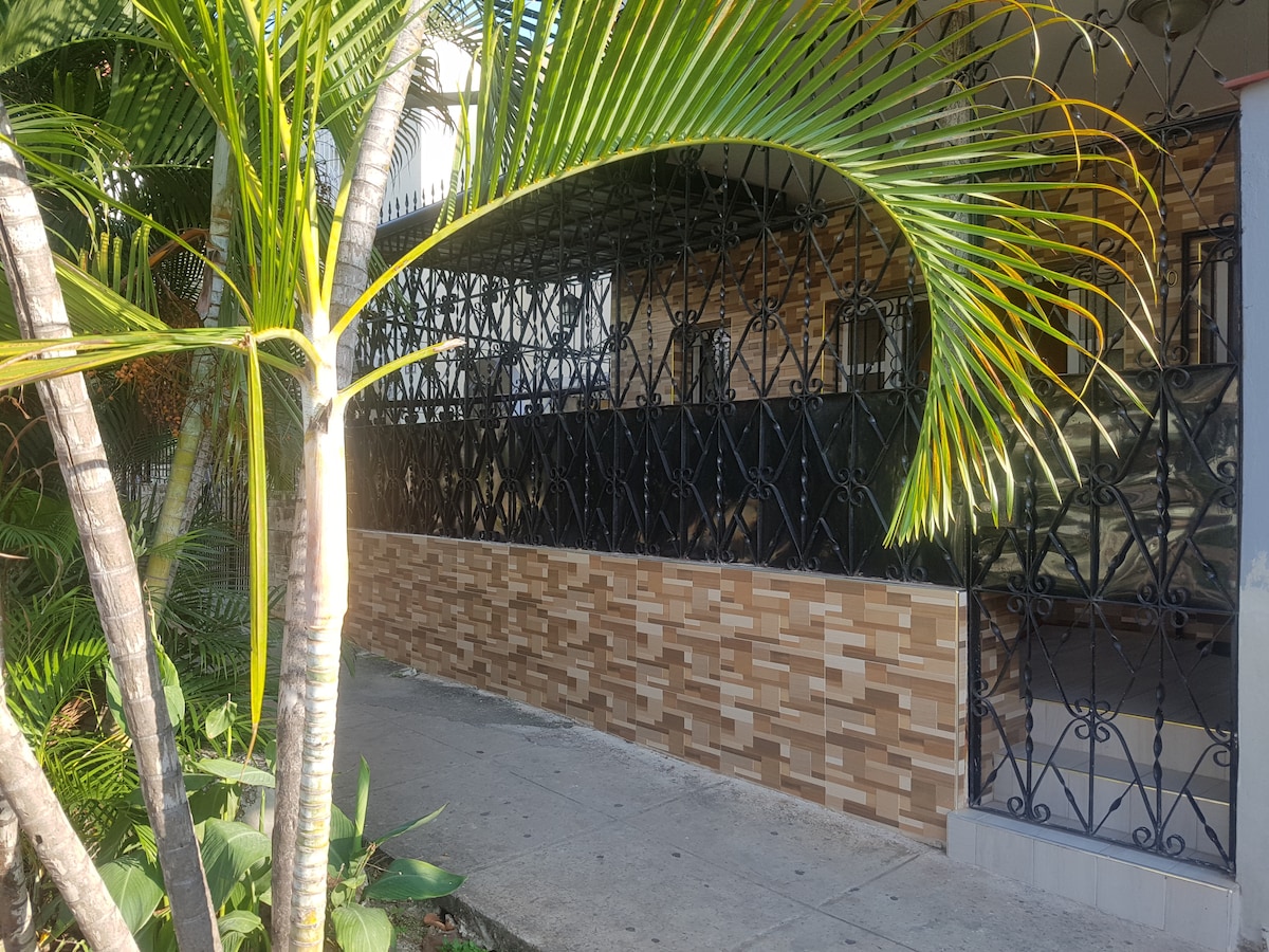 A gated entry showcases a decorative wrought iron fence complemented by a textured stone wall. Lush green palms and foliage line the walkway, creating a serene and natural setting. Sunlight filters through the leaves, illuminating the front of the property.