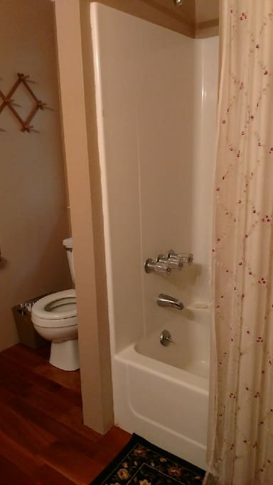 Tub and toilet area