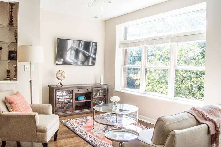 Beautifully Renovated 2BR in Historic Lincoln Park gallery image 4