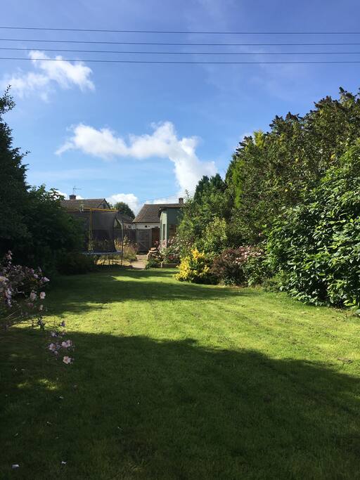 Back garden with summerhouse