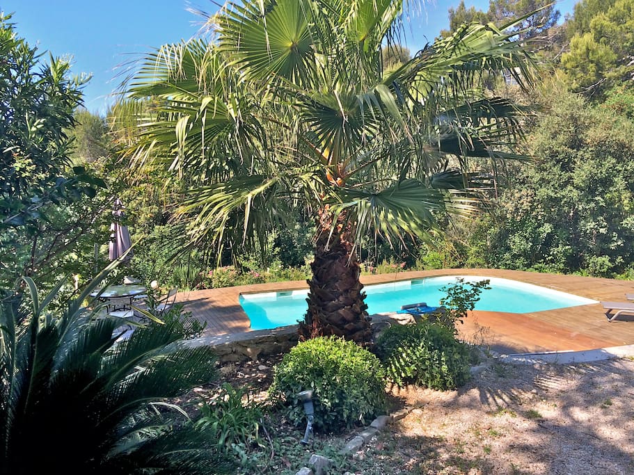 terrasse et piscine