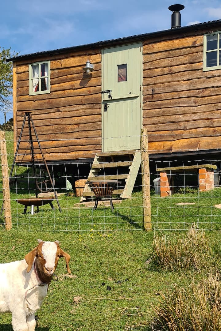 Shepherds Watch at Staffordshire photo 4