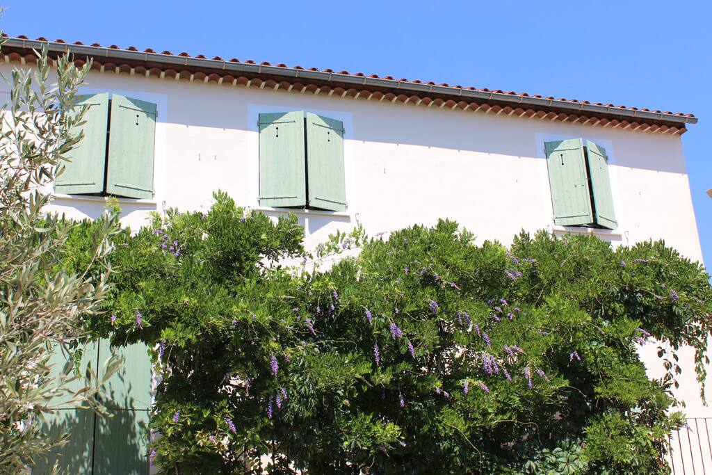 façade sud, grande glycine sur jardin