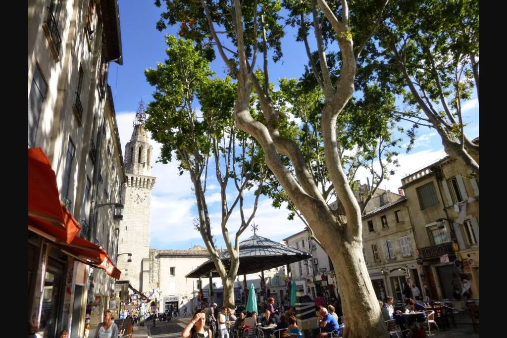 Place des carmes