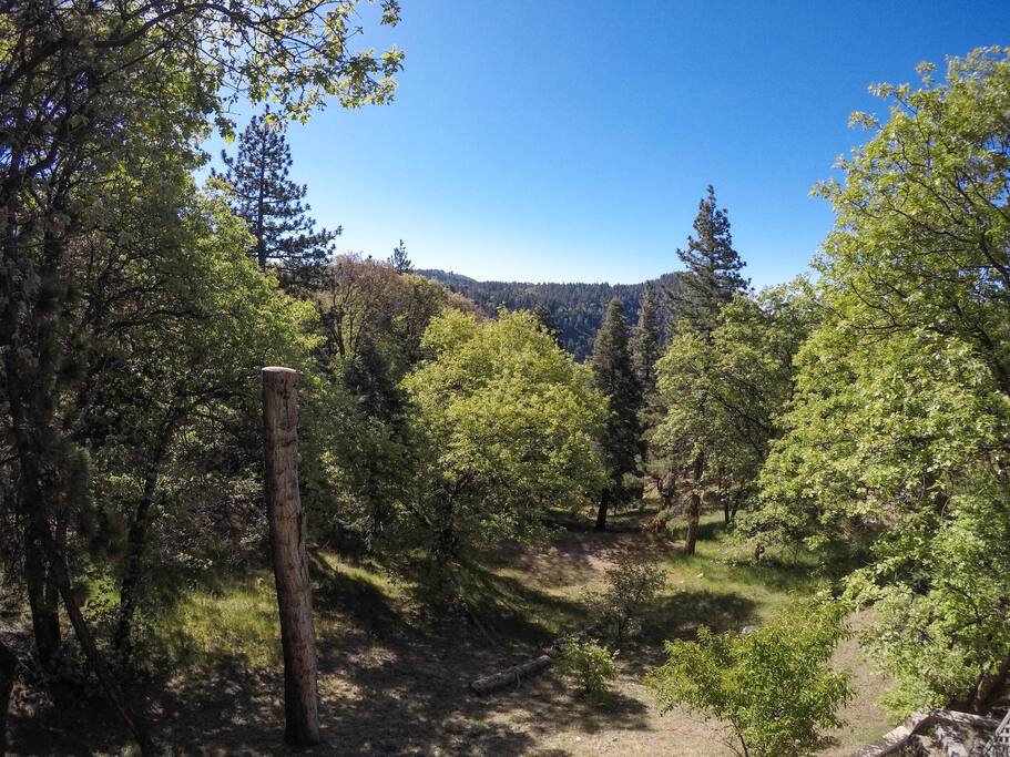 Backyard is national forest for hiking / exploring