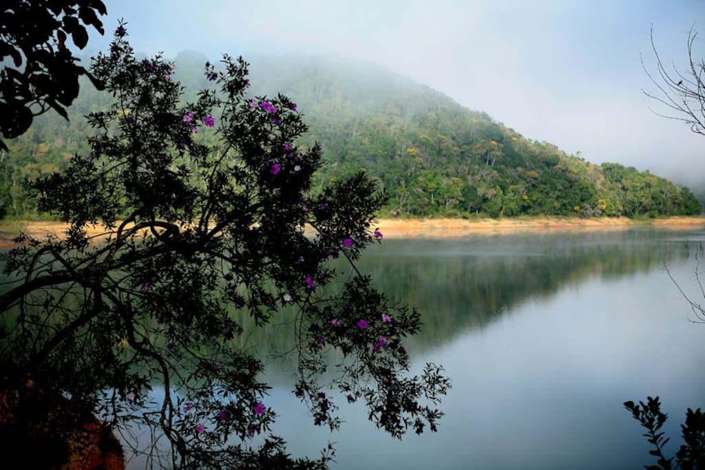 Vista da Represa