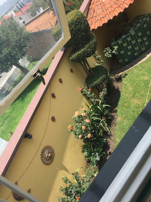 Vista al jardin