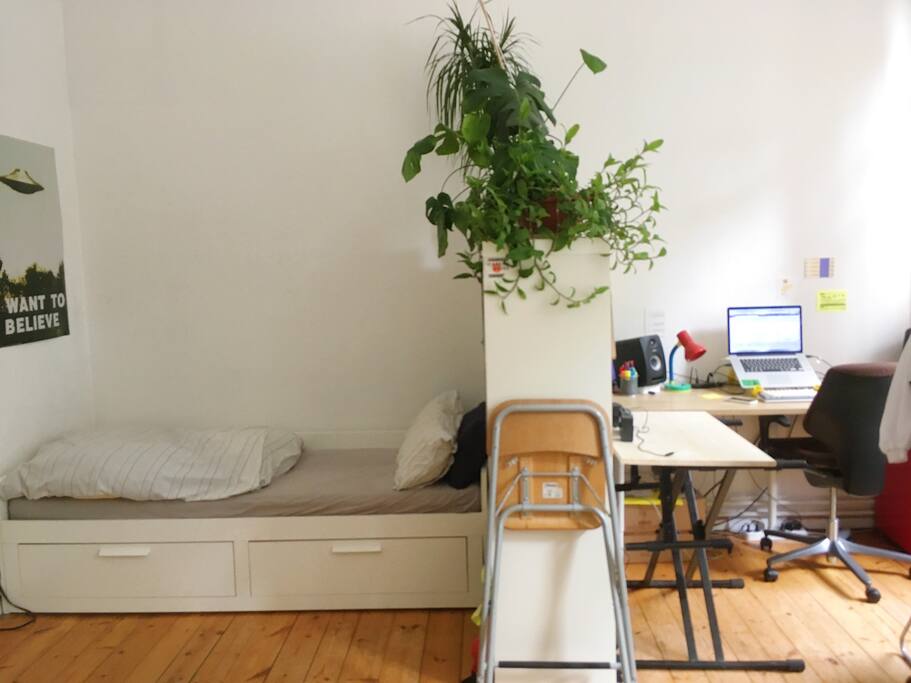 big room with a small bed