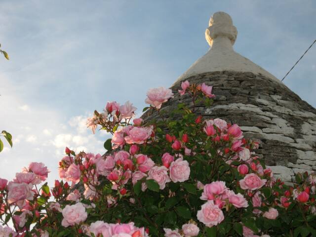 Trulli Girolamo gallery image 2