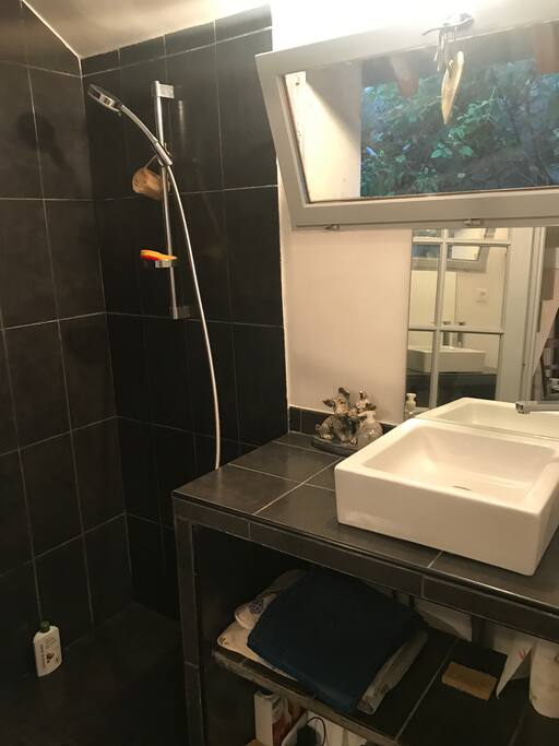 La douche et ses wc