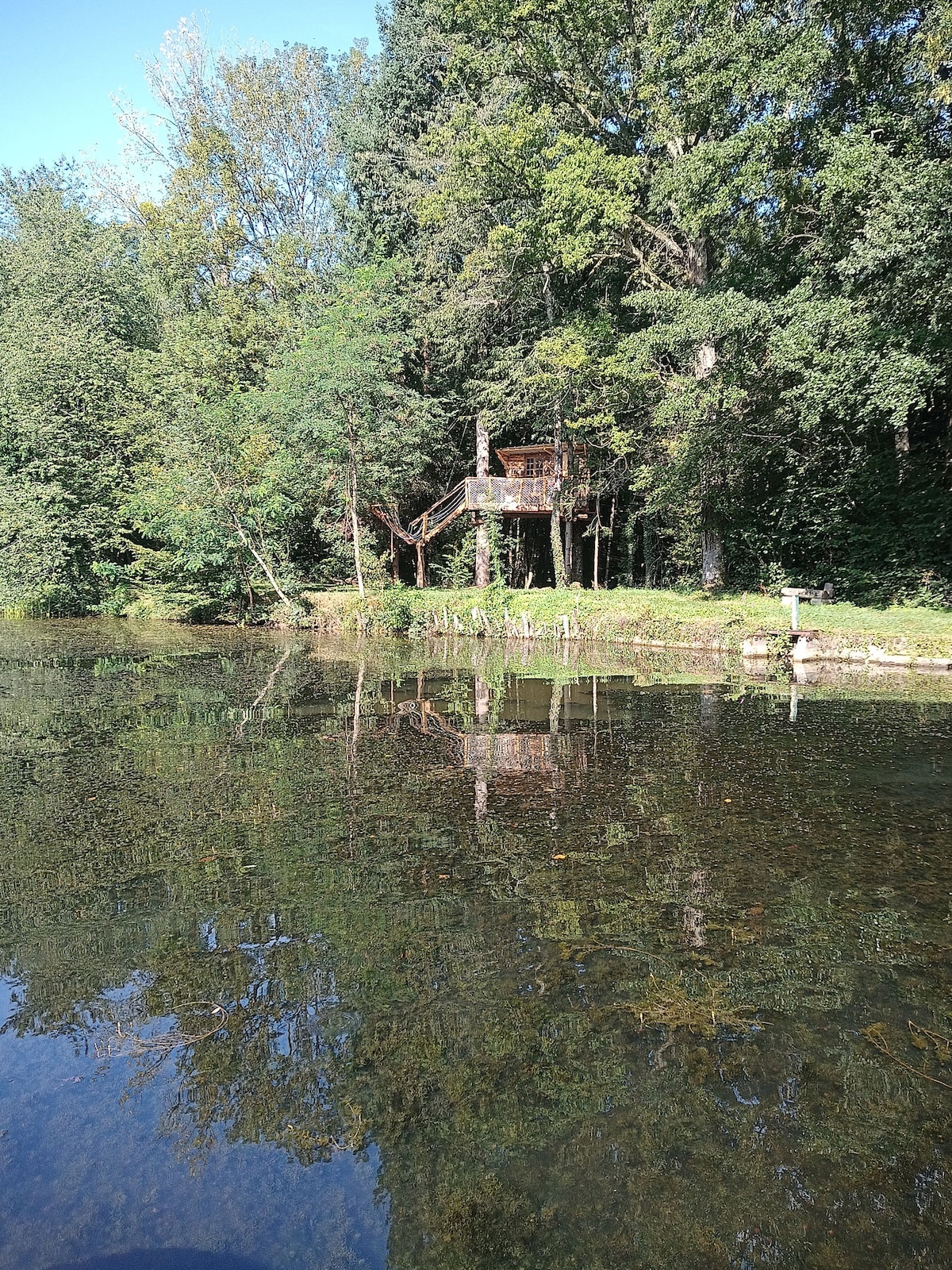 A charming treehouse is nestled among lush greenery, elevated above a serene pond. The wooden structure is partially visible through the surrounding trees, reflecting softly in the calm water. Various natural elements contribute to a tranquil and secluded atmosphere.