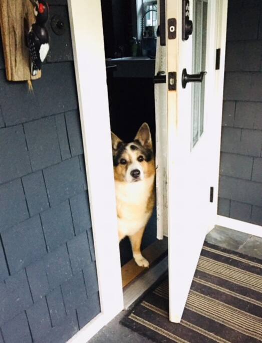 our greeter ... come on in!