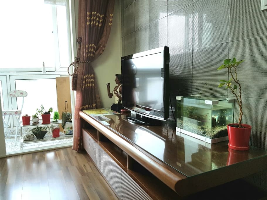 Living room with TV and fish tank